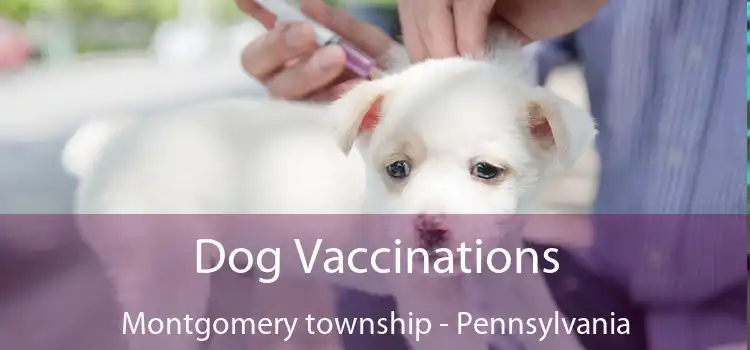 Dog Vaccinations Montgomery township - Pennsylvania
