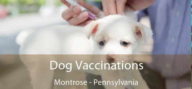 Dog Vaccinations Montrose - Pennsylvania