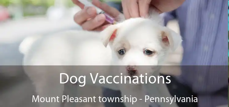 Dog Vaccinations Mount Pleasant township - Pennsylvania