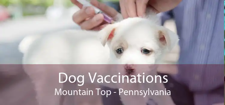Dog Vaccinations Mountain Top - Pennsylvania