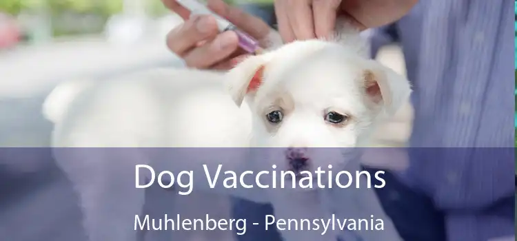Dog Vaccinations Muhlenberg - Pennsylvania