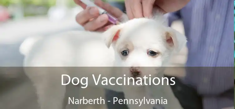 Dog Vaccinations Narberth - Pennsylvania