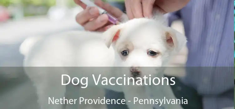 Dog Vaccinations Nether Providence - Pennsylvania