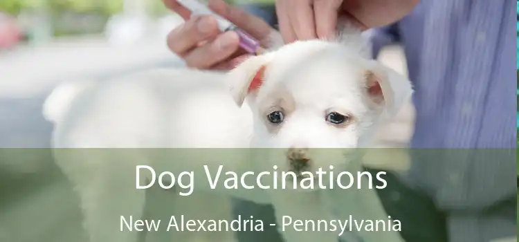 Dog Vaccinations New Alexandria - Pennsylvania