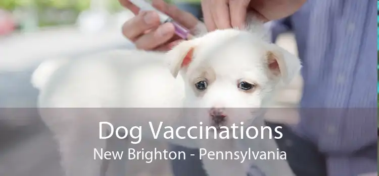Dog Vaccinations New Brighton - Pennsylvania