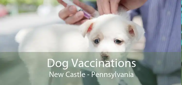 Dog Vaccinations New Castle - Pennsylvania