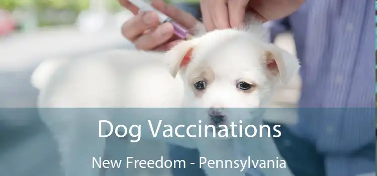 Dog Vaccinations New Freedom - Pennsylvania
