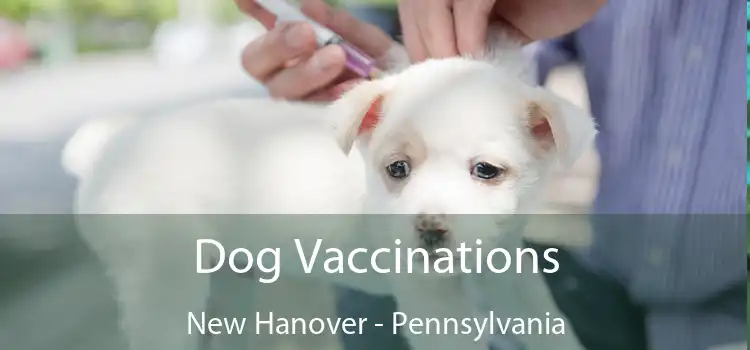 Dog Vaccinations New Hanover - Pennsylvania