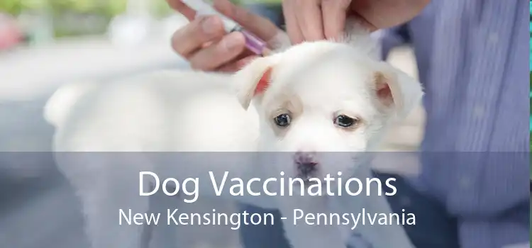 Dog Vaccinations New Kensington - Pennsylvania