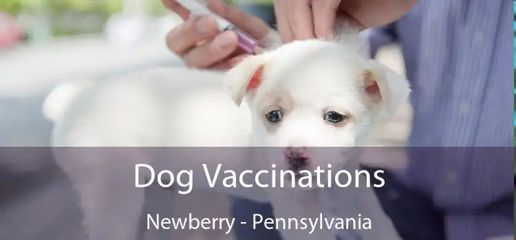 Dog Vaccinations Newberry - Pennsylvania