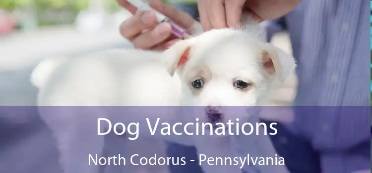 Dog Vaccinations North Codorus - Pennsylvania