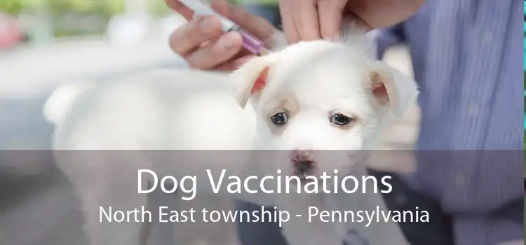 Dog Vaccinations North East township - Pennsylvania