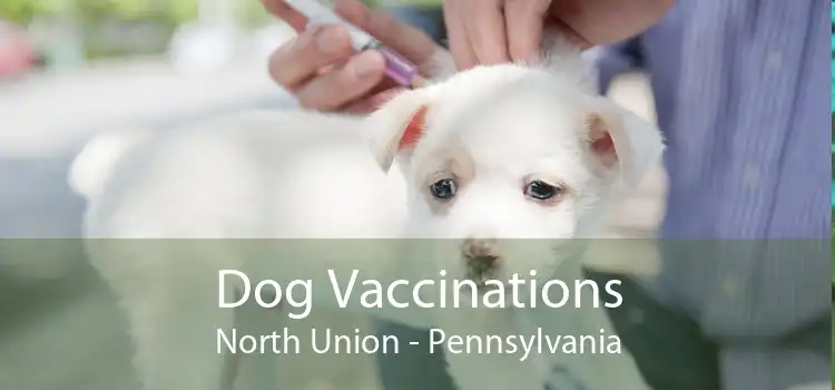 Dog Vaccinations North Union - Pennsylvania