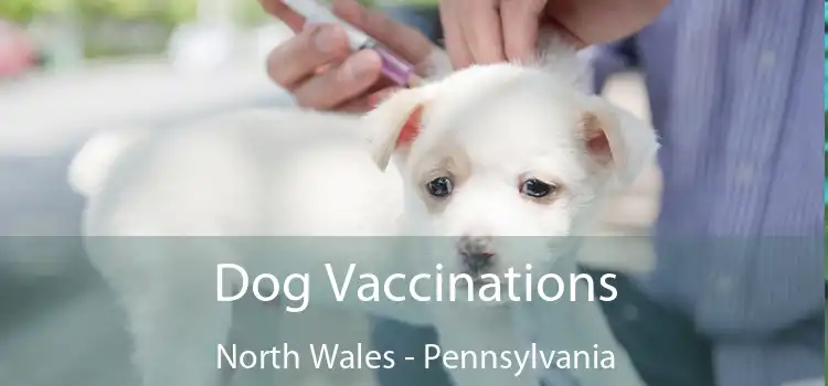 Dog Vaccinations North Wales - Pennsylvania