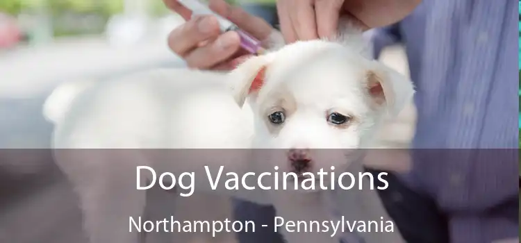 Dog Vaccinations Northampton - Pennsylvania