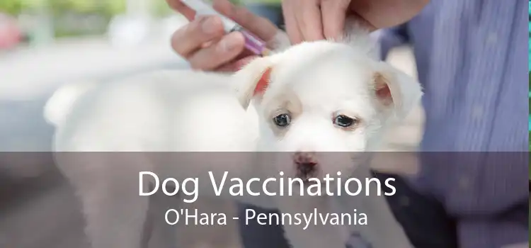 Dog Vaccinations O'Hara - Pennsylvania