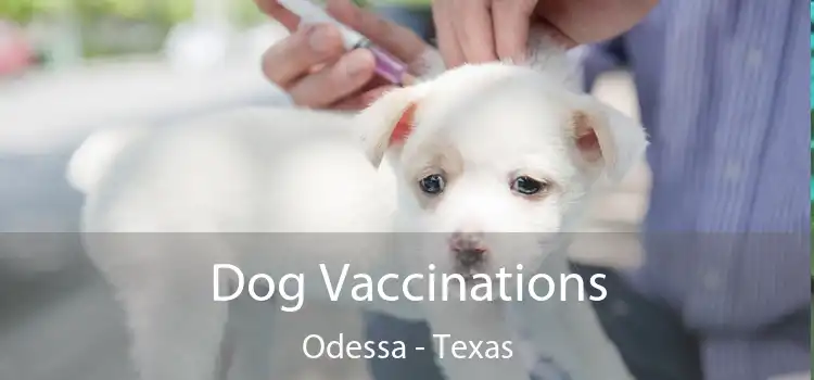 Dog Vaccinations Odessa - Texas