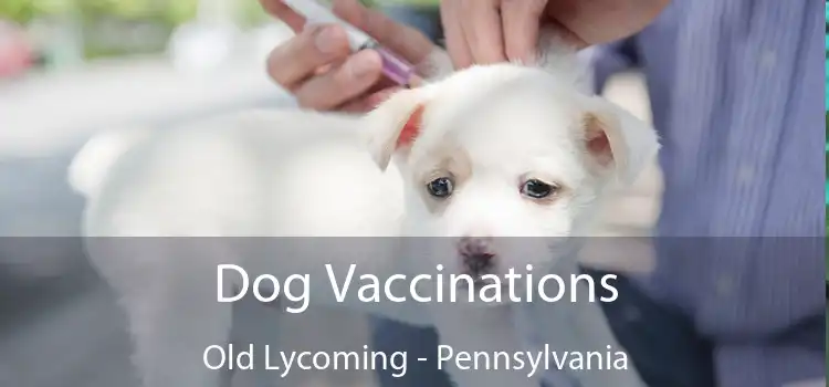 Dog Vaccinations Old Lycoming - Pennsylvania