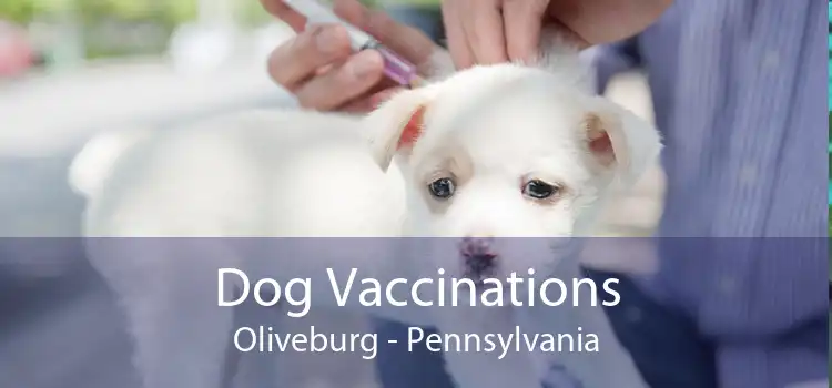 Dog Vaccinations Oliveburg - Pennsylvania