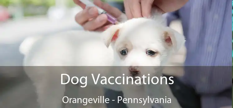 Dog Vaccinations Orangeville - Pennsylvania