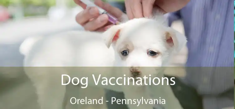 Dog Vaccinations Oreland - Pennsylvania