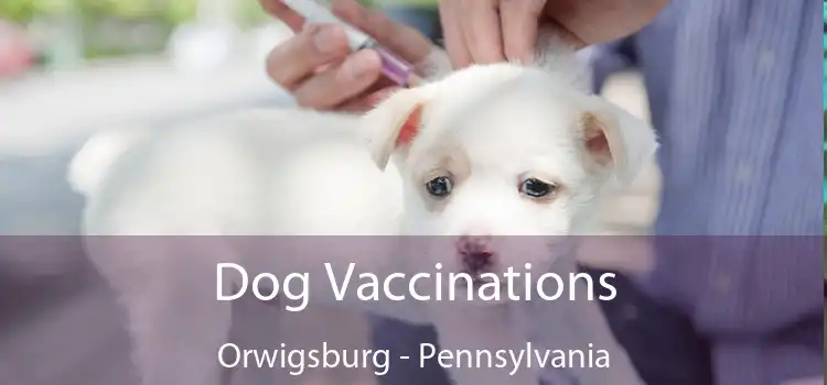 Dog Vaccinations Orwigsburg - Pennsylvania