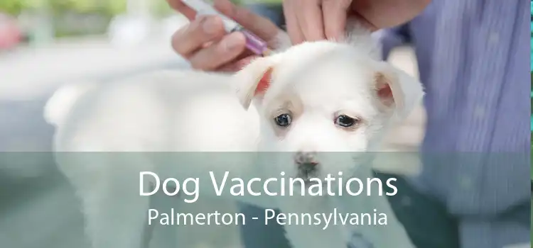 Dog Vaccinations Palmerton - Pennsylvania