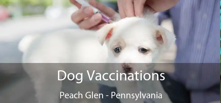 Dog Vaccinations Peach Glen - Pennsylvania