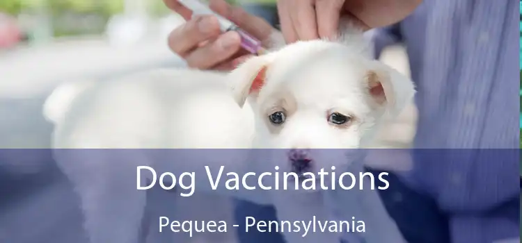 Dog Vaccinations Pequea - Pennsylvania