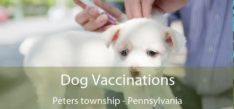 Dog Vaccinations Peters township - Pennsylvania