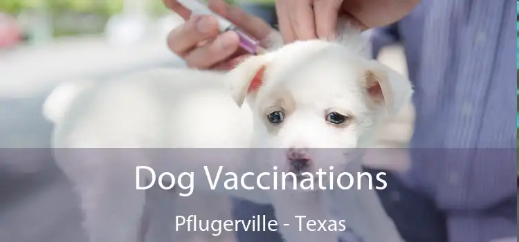 Dog Vaccinations Pflugerville - Texas