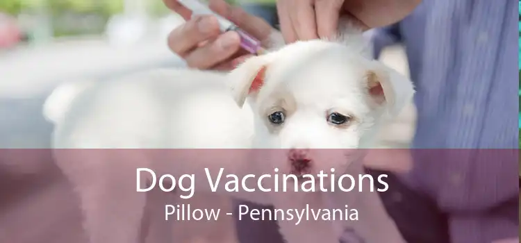 Dog Vaccinations Pillow - Pennsylvania