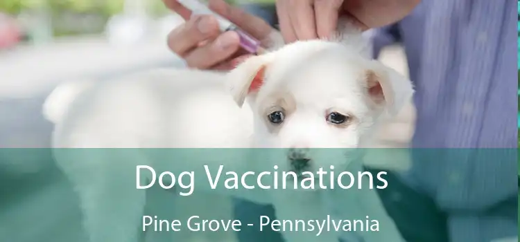 Dog Vaccinations Pine Grove - Pennsylvania