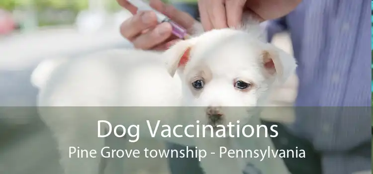 Dog Vaccinations Pine Grove township - Pennsylvania