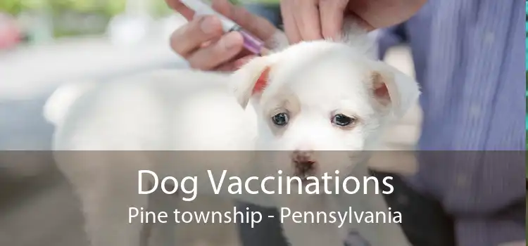 Dog Vaccinations Pine township - Pennsylvania