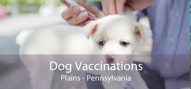 Dog Vaccinations Plains - Pennsylvania