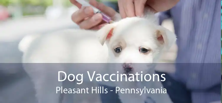 Dog Vaccinations Pleasant Hills - Pennsylvania