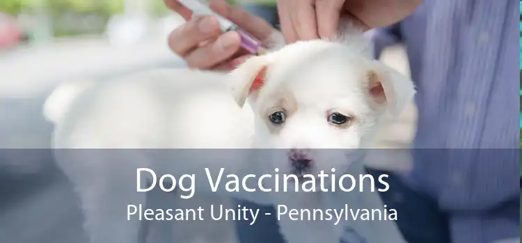 Dog Vaccinations Pleasant Unity - Pennsylvania
