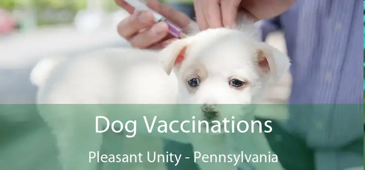 Dog Vaccinations Pleasant Unity - Pennsylvania