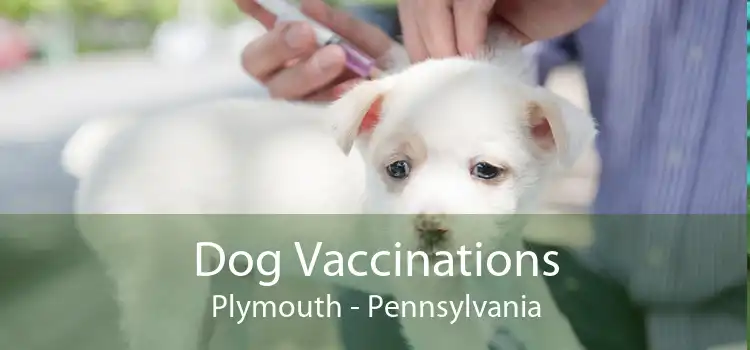Dog Vaccinations Plymouth - Pennsylvania