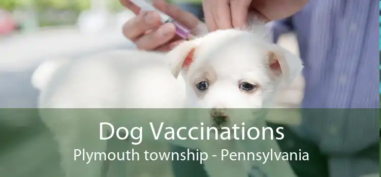 Dog Vaccinations Plymouth township - Pennsylvania