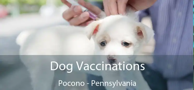 Dog Vaccinations Pocono - Pennsylvania