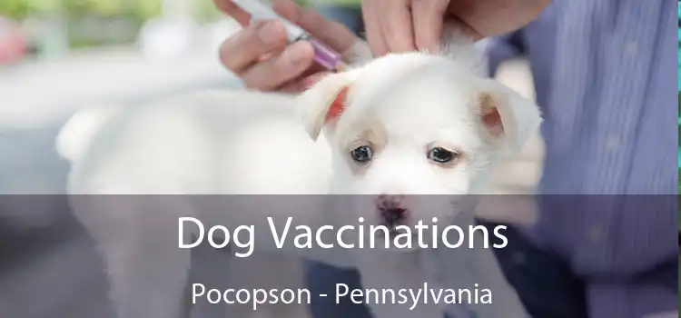 Dog Vaccinations Pocopson - Pennsylvania