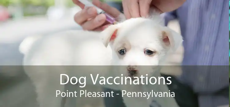 Dog Vaccinations Point Pleasant - Pennsylvania