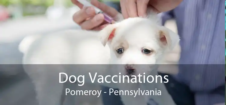 Dog Vaccinations Pomeroy - Pennsylvania
