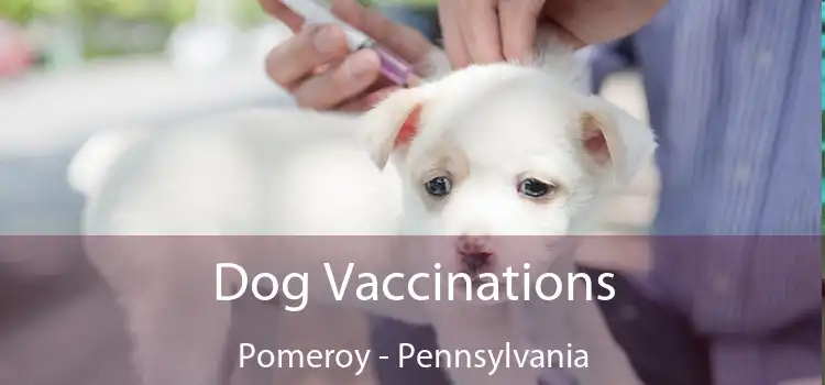 Dog Vaccinations Pomeroy - Pennsylvania