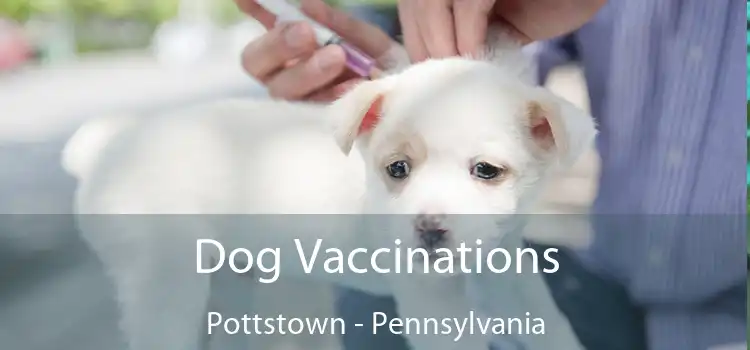 Dog Vaccinations Pottstown - Pennsylvania