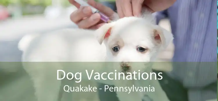 Dog Vaccinations Quakake - Pennsylvania