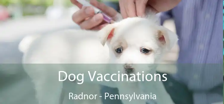 Dog Vaccinations Radnor - Pennsylvania