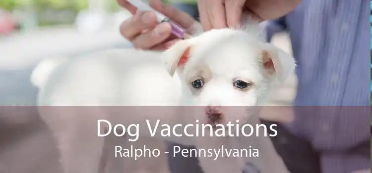 Dog Vaccinations Ralpho - Pennsylvania